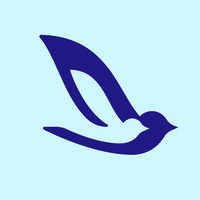 CoPilot logo